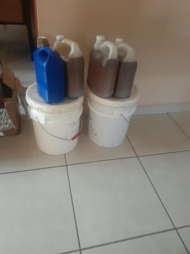 1-gallon jugs of raw batana oil stacked on sealed 5-gallon buckets
