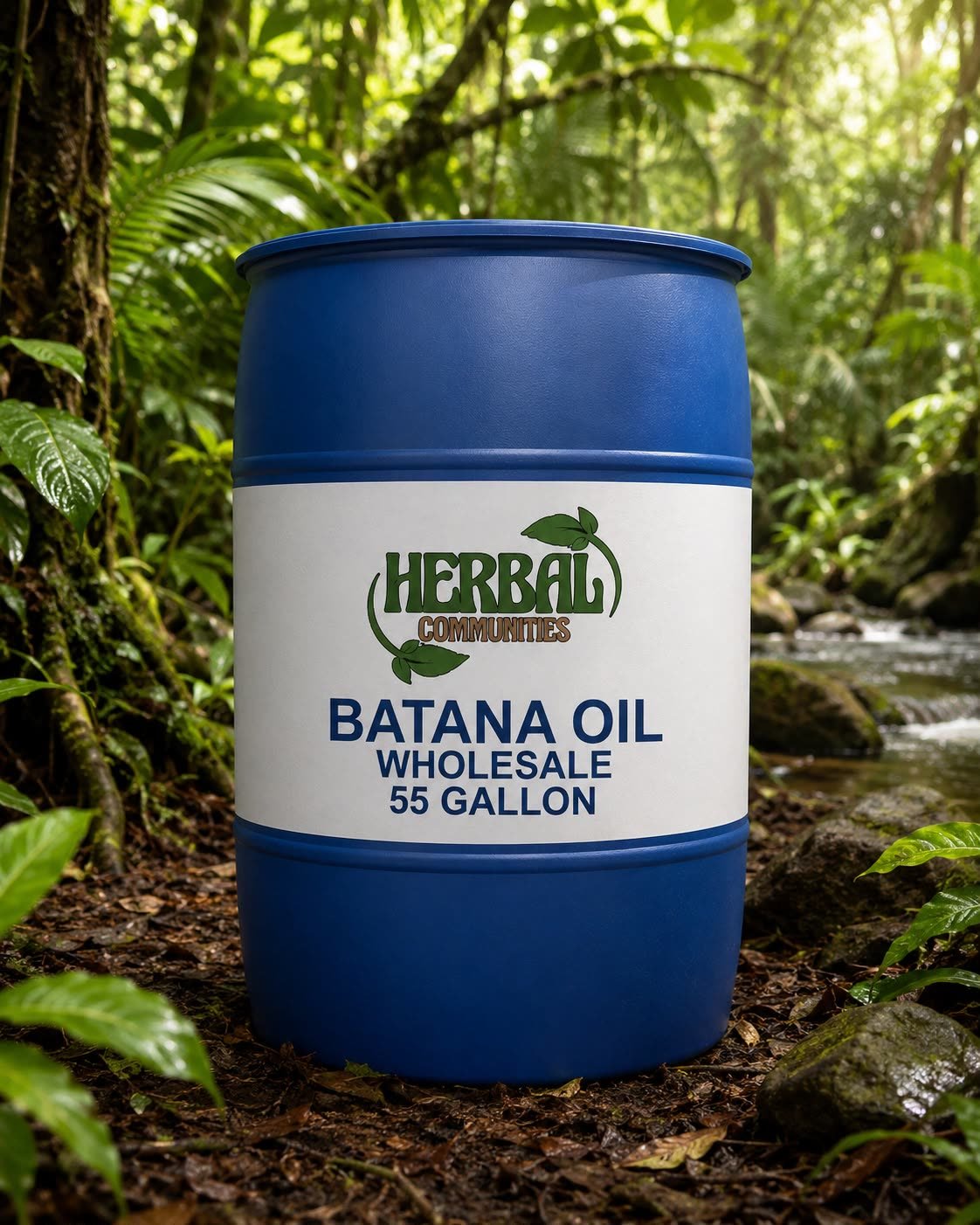 Sealed barrel of raw batana oil, also known as ojon oil, in the La Mosquitia rainforest