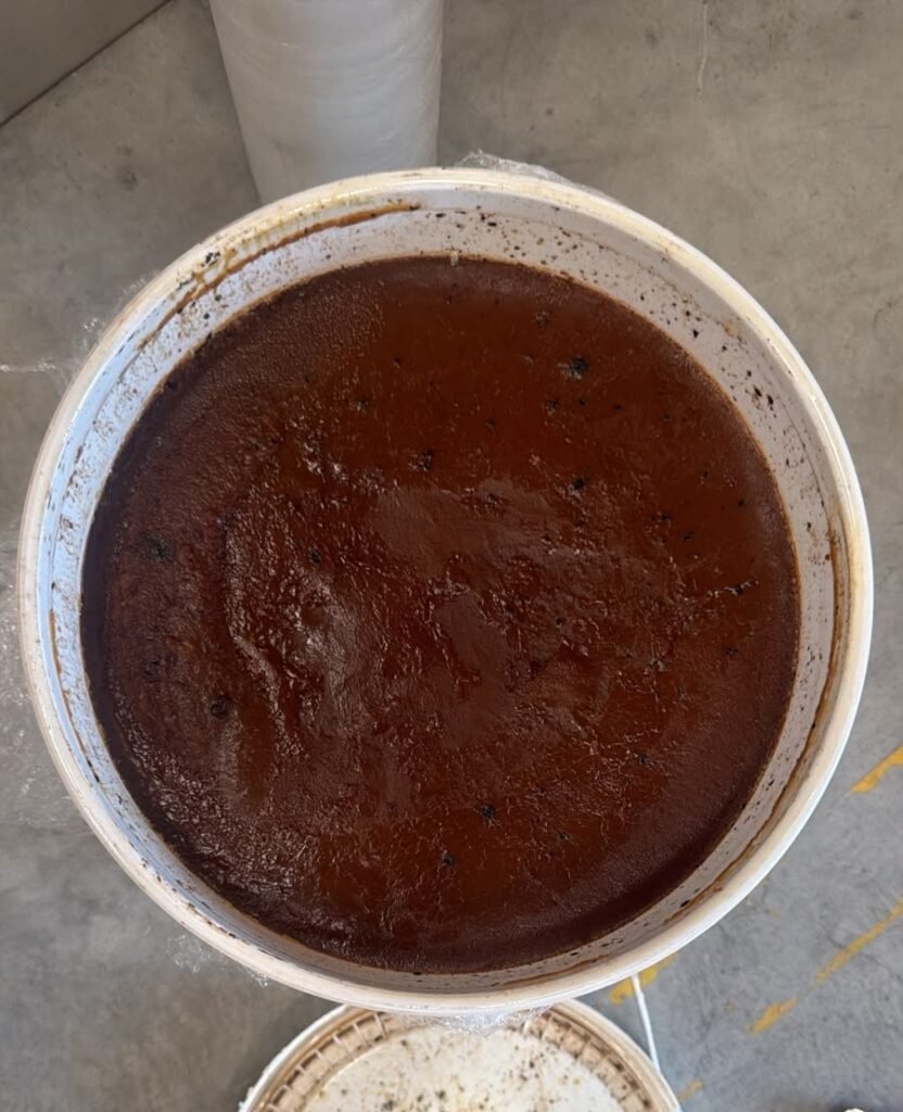 Open 5-gallon bucket of raw, dark-brown batana oil from La Mosquitia
