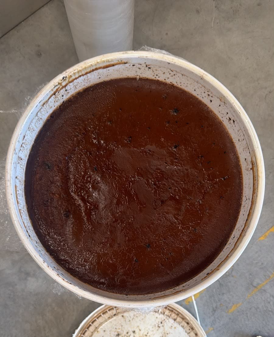 Open 5-gallon bucket of raw, dark-brown batana oil from La Mosquitia